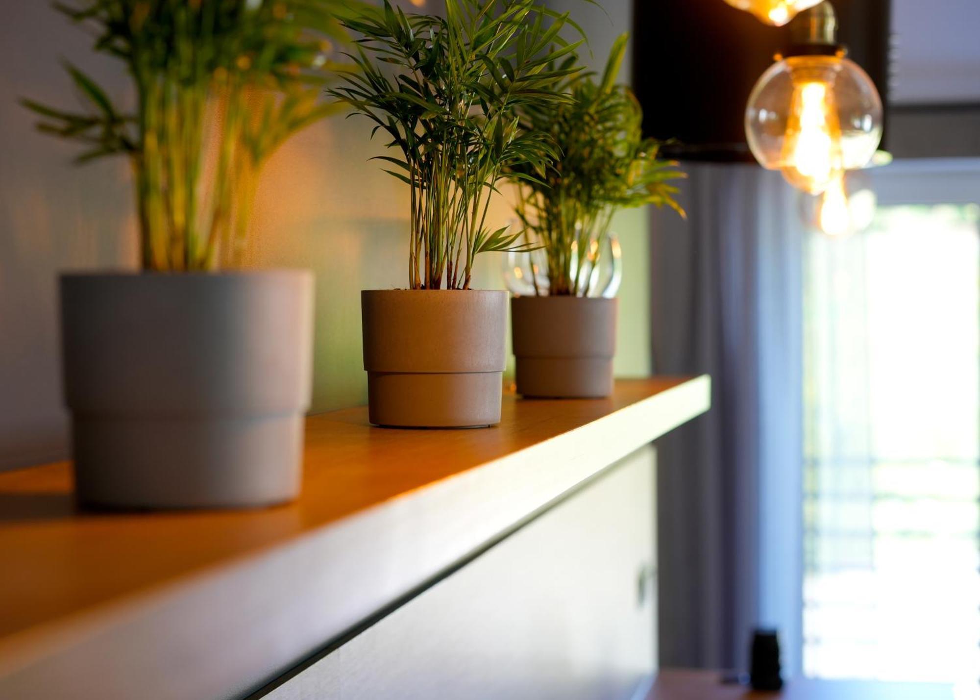 Apartament Na Wzgorzu Kudowa-Zdrój Zewnętrze zdjęcie